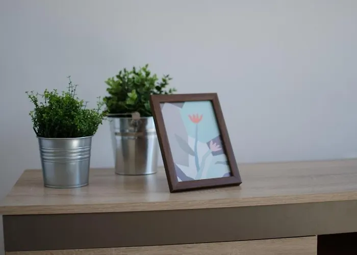 Bright Near Cismigiu And Old Town *